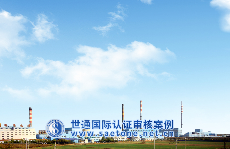山东银鹰化纤有限公司